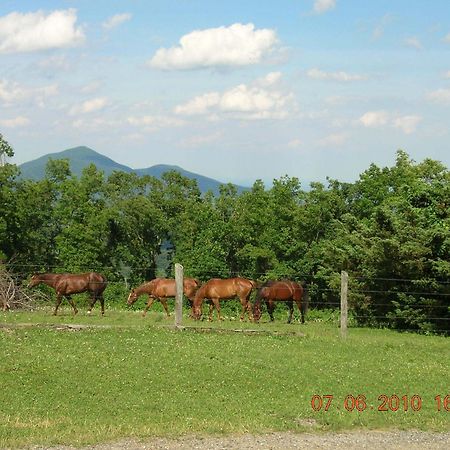 Bent Mountain Lodge Roanoke Luaran gambar