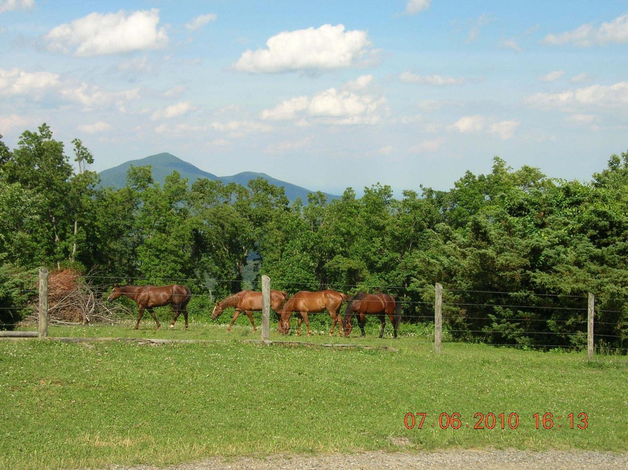 Bent Mountain Lodge Roanoke Luaran gambar