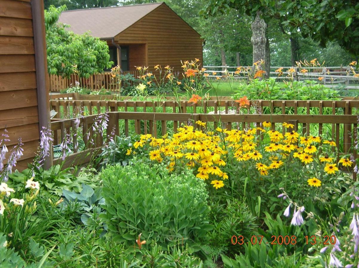 Bent Mountain Lodge Roanoke Luaran gambar